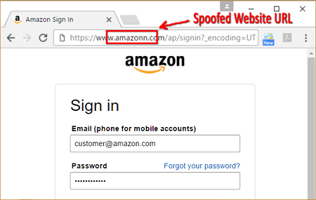 Website spoofing example
