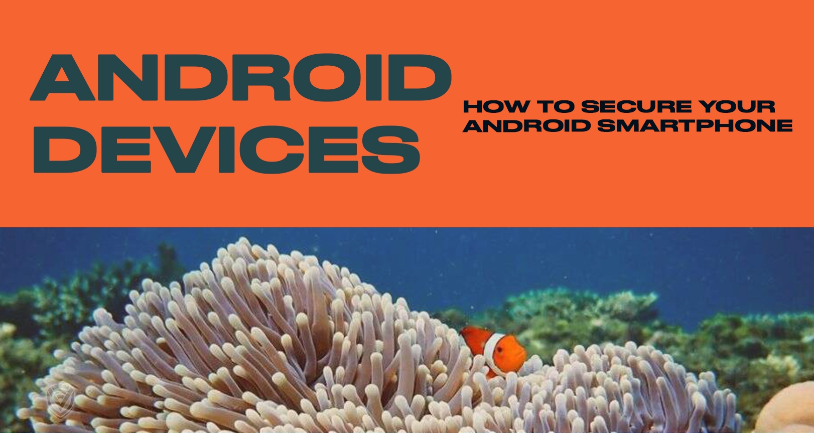 How to Secure your Android Phone